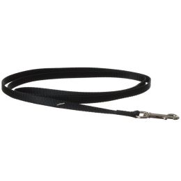 Coastal Pet Nylon Lead - Black