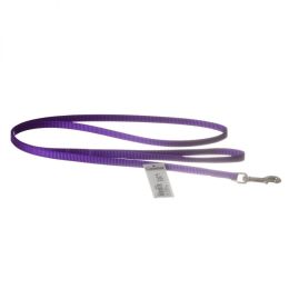 Coastal Pet Nylon Lead - Purple