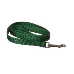 Coastal Pet Nylon Lead - Hunter Green