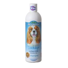 Bio Groom Indulge Sulfate-Free Shampoo